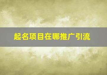 起名项目在哪推广引流