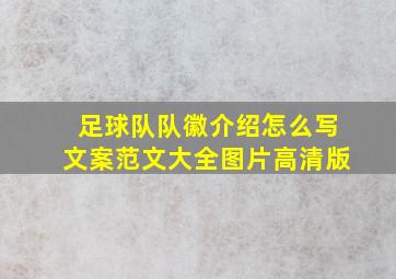 足球队队徽介绍怎么写文案范文大全图片高清版