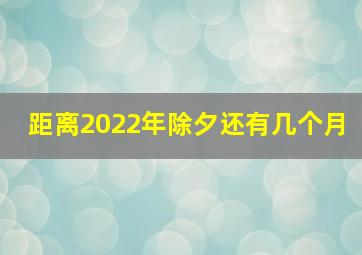 距离2022年除夕还有几个月