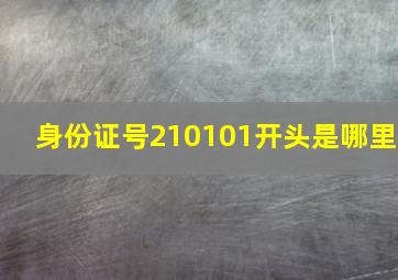 身份证号210101开头是哪里