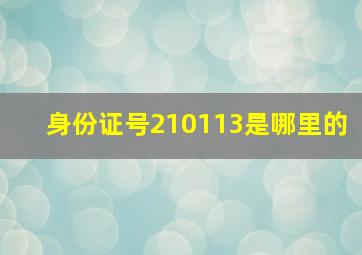 身份证号210113是哪里的