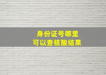 身份证号哪里可以查核酸结果