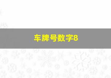 车牌号数字8