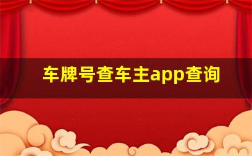 车牌号查车主app查询