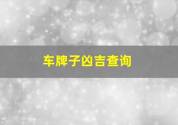 车牌子凶吉查询