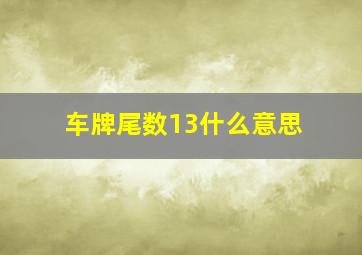 车牌尾数13什么意思