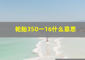 轮胎350一16什么意思