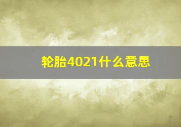 轮胎4021什么意思