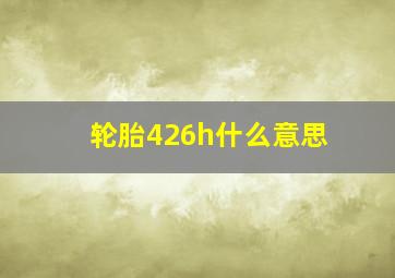 轮胎426h什么意思