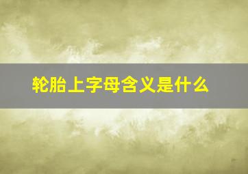 轮胎上字母含义是什么