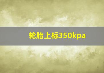 轮胎上标350kpa