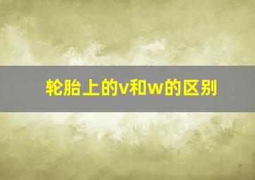 轮胎上的v和w的区别