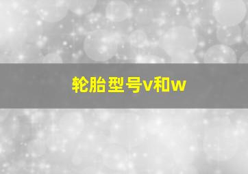 轮胎型号v和w