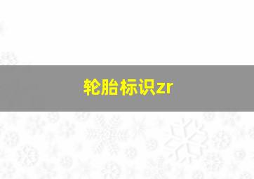 轮胎标识zr