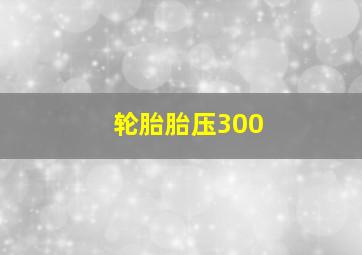 轮胎胎压300