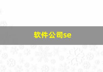 软件公司se