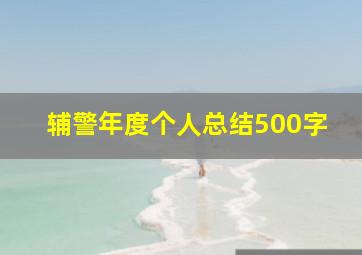 辅警年度个人总结500字