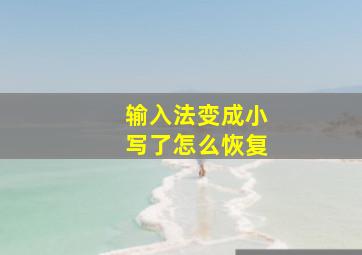 输入法变成小写了怎么恢复