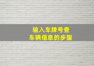 输入车牌号查车辆信息的步骤