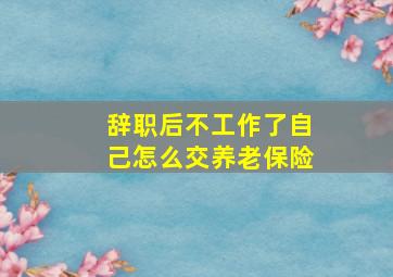 辞职后不工作了自己怎么交养老保险