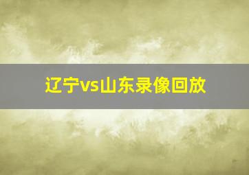 辽宁vs山东录像回放