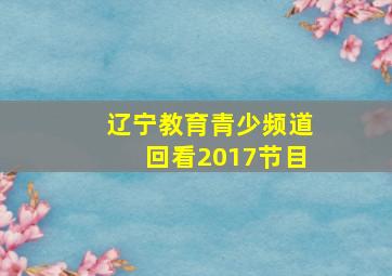 辽宁教育青少频道回看2017节目