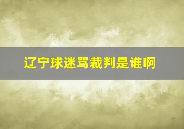 辽宁球迷骂裁判是谁啊