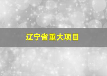 辽宁省重大项目