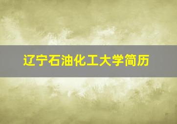 辽宁石油化工大学简历