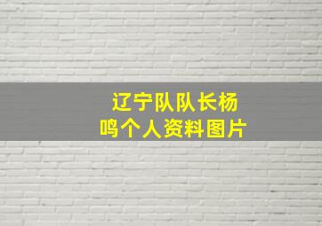 辽宁队队长杨鸣个人资料图片