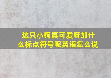 这只小狗真可爱呀加什么标点符号呢英语怎么说