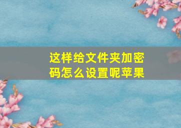 这样给文件夹加密码怎么设置呢苹果