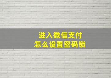 进入微信支付怎么设置密码锁