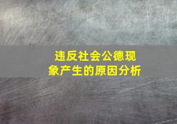 违反社会公德现象产生的原因分析