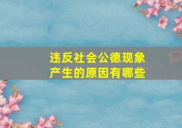 违反社会公德现象产生的原因有哪些