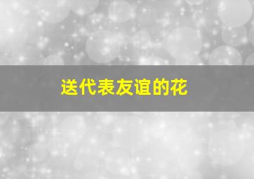 送代表友谊的花