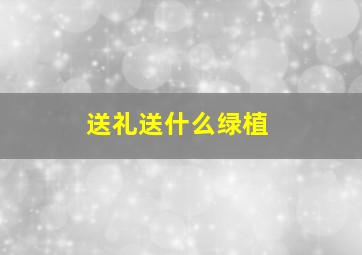 送礼送什么绿植