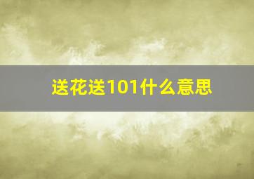 送花送101什么意思