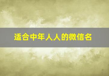 适合中年人人的微信名