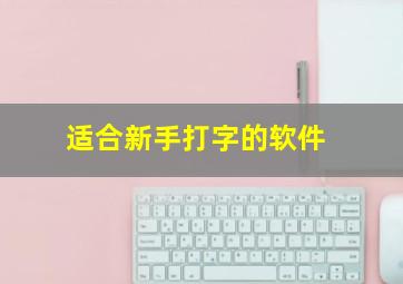 适合新手打字的软件