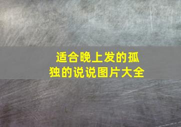 适合晚上发的孤独的说说图片大全