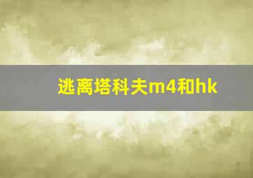 逃离塔科夫m4和hk