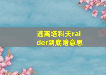 逃离塔科夫raider到底啥意思