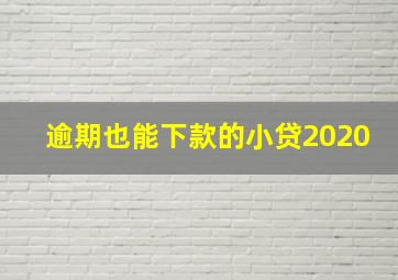 逾期也能下款的小贷2020