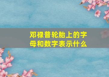 邓禄普轮胎上的字母和数字表示什么