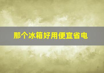 那个冰箱好用便宜省电