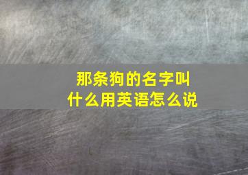 那条狗的名字叫什么用英语怎么说