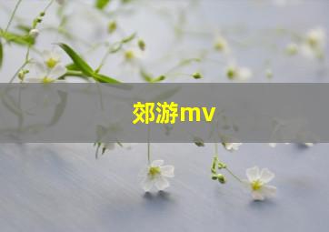 郊游mv