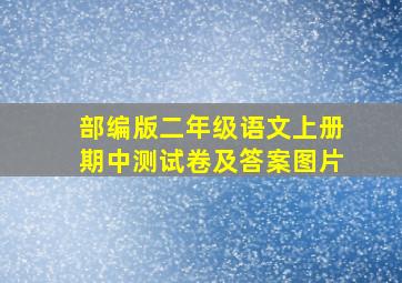 部编版二年级语文上册期中测试卷及答案图片