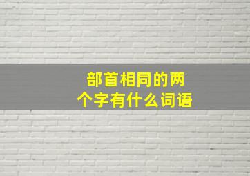 部首相同的两个字有什么词语